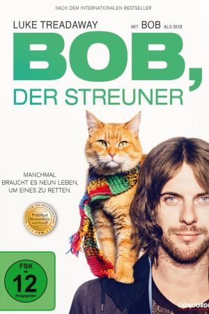 Image Bob, der Streuner