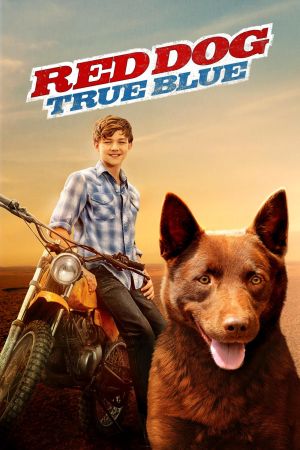 Image Red Dog – Mein treuer Freund