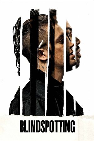 Image Blindspotting