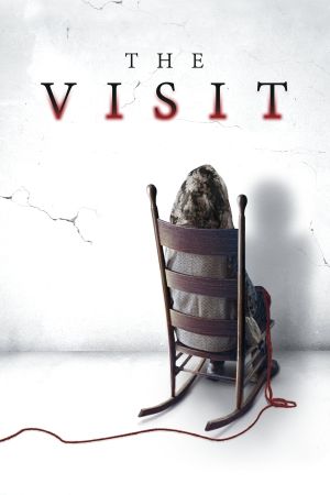 Image The Visit