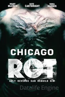 Image Chicago Rot