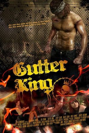 Image Gutter King