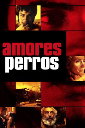 Image Amores perros