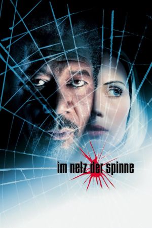 Image Im Netz der Spinne