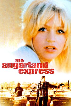 Image Sugarland Express