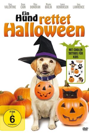 Image Ein Hund rettet Halloween