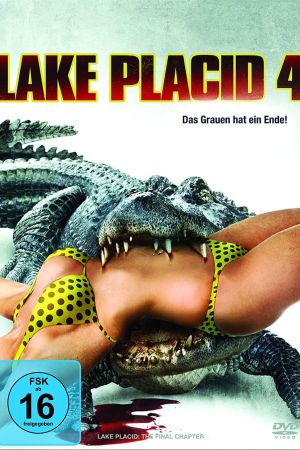 Image Lake Placid 4