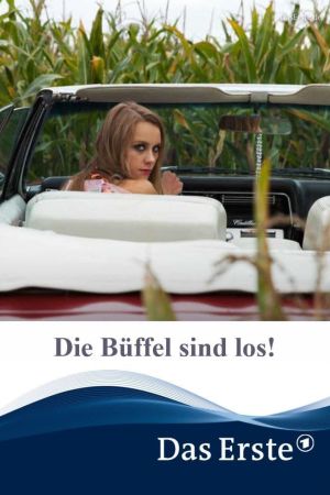 Image Die Büffel sind los!