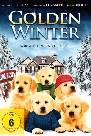 Image Golden Winter - Wir suchen ein Zuhause