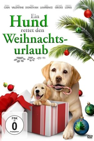 Image Ein Hund rettet den Weihnachtsurlaub