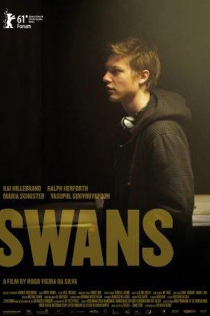 Image Swans