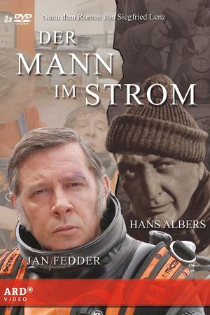 Image Der Mann im Strom