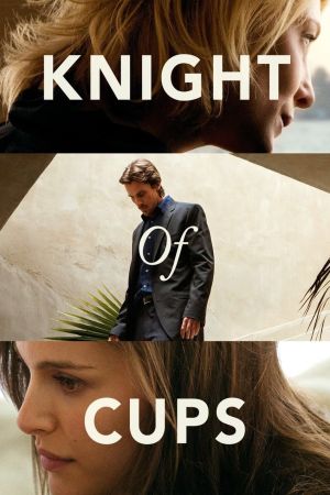 Image Knight of Cups