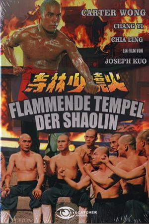 Image Flammende Tempel der Shaolin