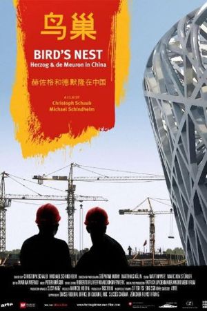 Image Bird's Nest - Herzog & de Meuron in China