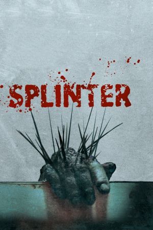 Image Splinter