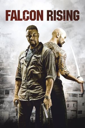 Image Falcon Rising