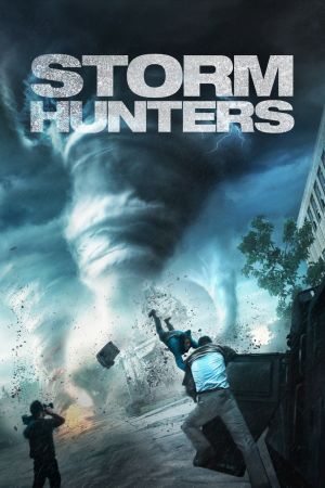 Image Storm Hunters