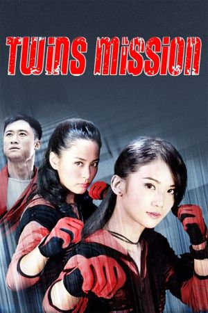 Image Twins Mission