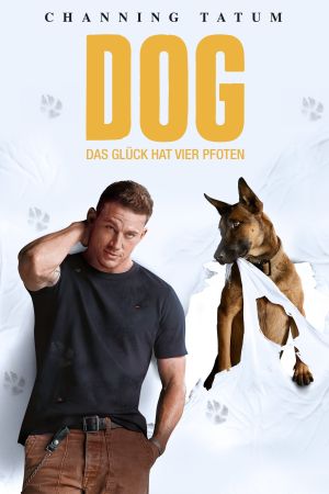 Image Dog - Das Glück hat vier Pfoten