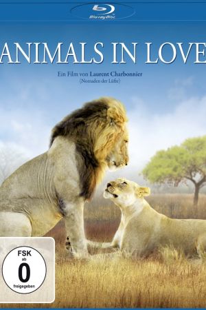 Image Animals in Love - Tierisch verliebt