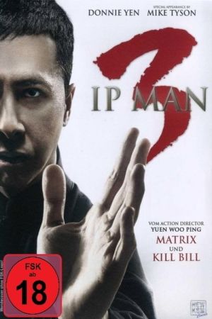 Image Ip Man 3