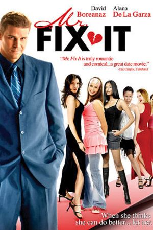 Image Mr. Fix It