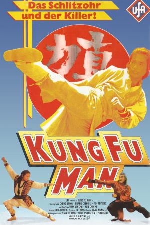 Image Kung Fu Man