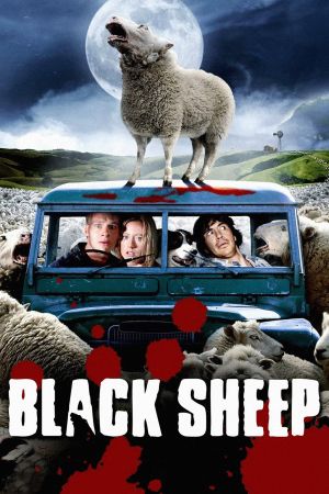 Image Black Sheep