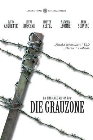 Image Die Grauzone