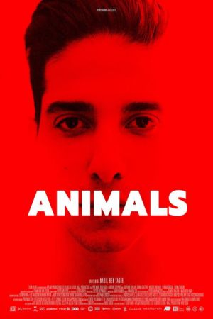 Image Animals