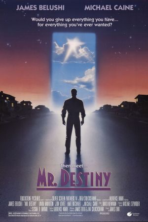 Image Mr. Destiny