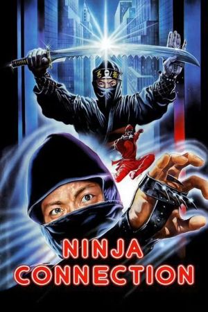 Image Ninja Connection