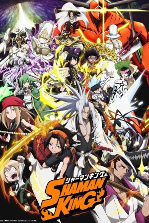 Image Shaman King