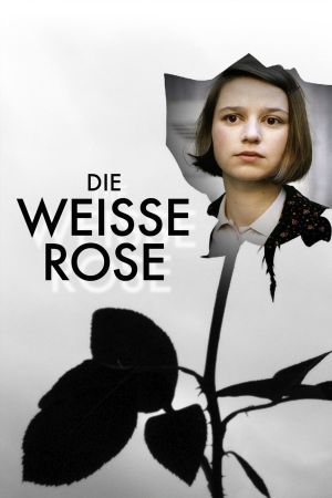 Image Die weiße Rose