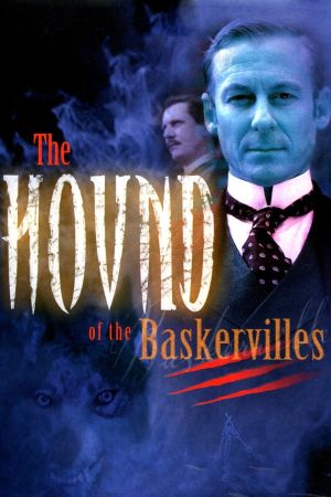 Image Der Hund der Baskervilles