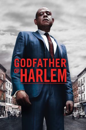 Image Godfather of Harlem