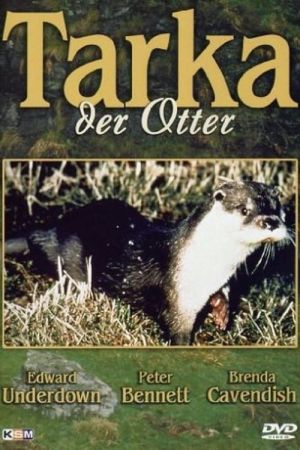 Image Tarka der Otter