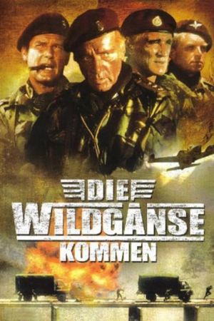 Image Die Wildgänse kommen