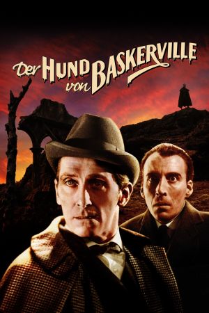 Image Der Hund von Baskerville