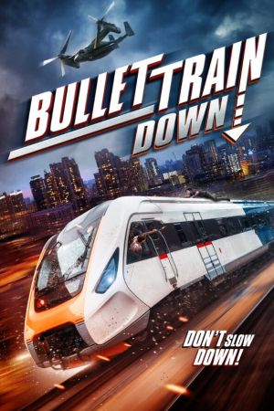 Image Bullet Train Down