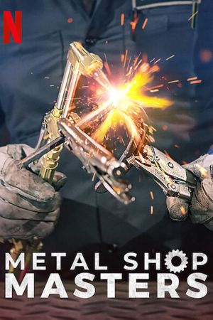 Image Metal Shop Masters