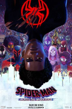 Image Spider-Man: Across the Spider-Verse