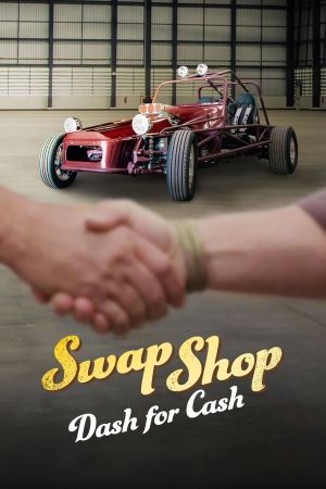 Image Swap Shop