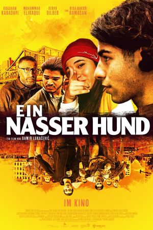 Image Ein nasser Hund