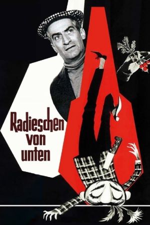 Image Radieschen von unten