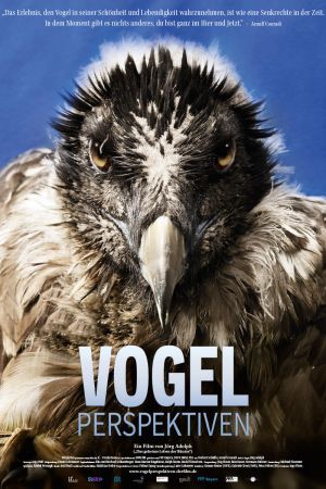 Image Vogelperspektiven