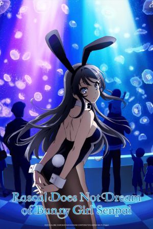 Image Rascal Does Not Dream of Bunny Girl Senpai